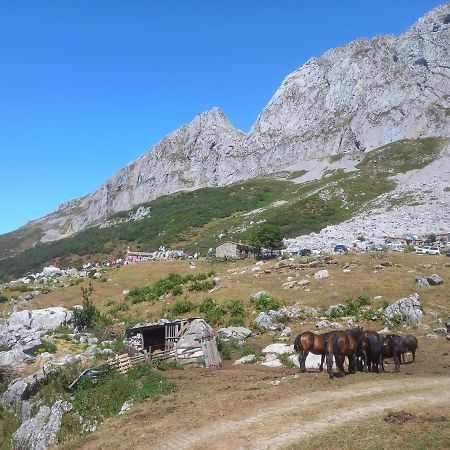 Casa Cuevas Konuk evi Cuevas  Dış mekan fotoğraf