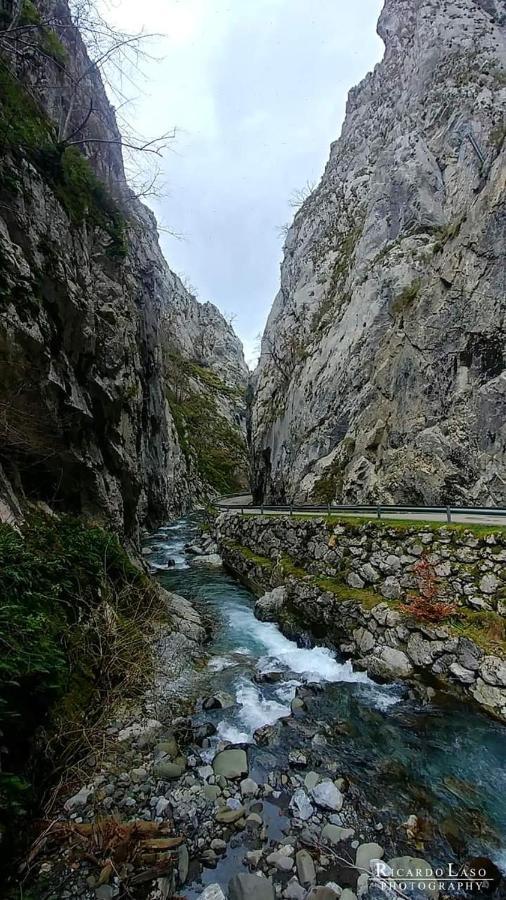 Casa Cuevas Konuk evi Cuevas  Dış mekan fotoğraf