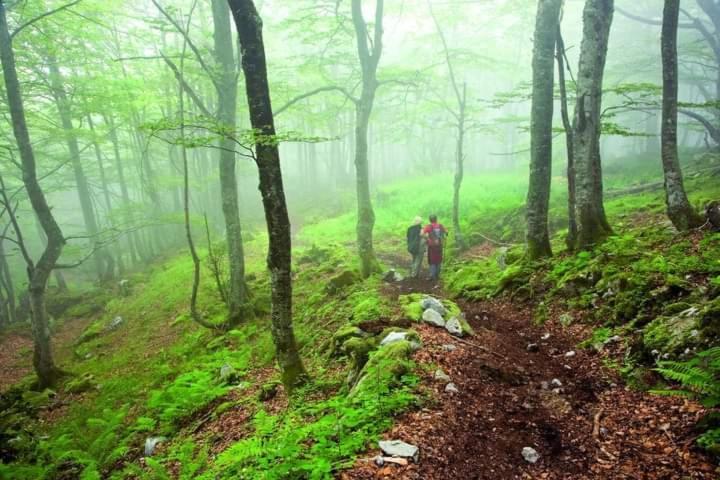 Casa Cuevas Konuk evi Cuevas  Dış mekan fotoğraf