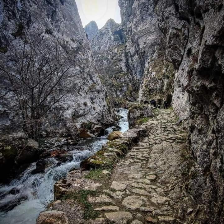 Casa Cuevas Konuk evi Cuevas  Dış mekan fotoğraf