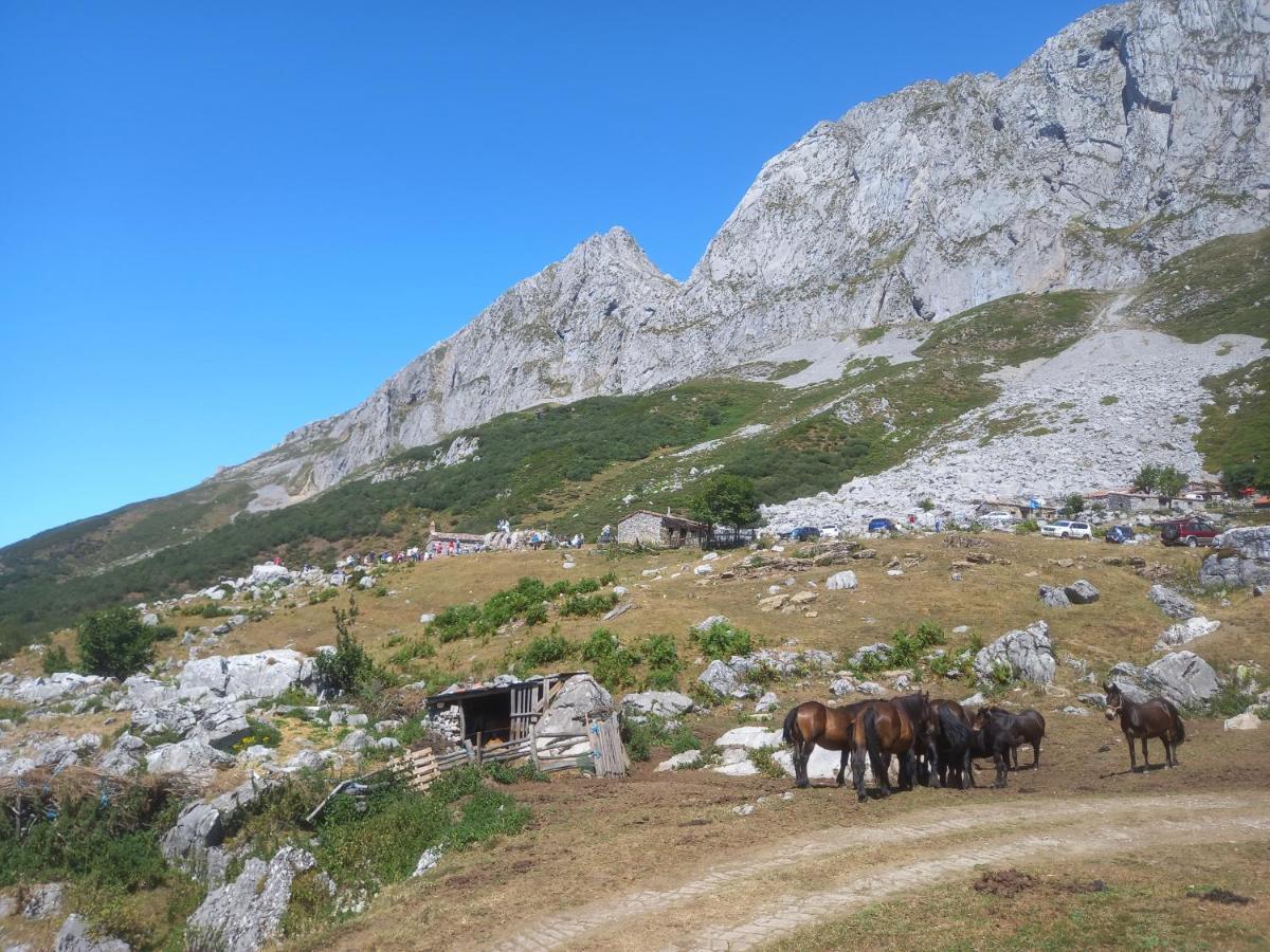 Casa Cuevas Konuk evi Cuevas  Dış mekan fotoğraf